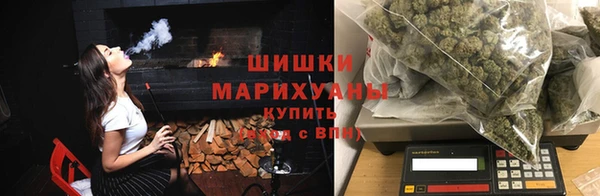 ПСИЛОЦИБИНОВЫЕ ГРИБЫ Дмитриев