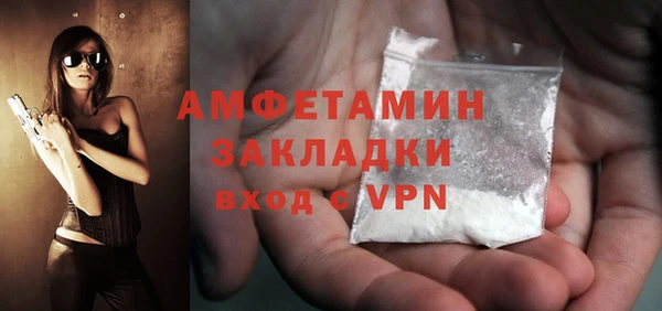 ПСИЛОЦИБИНОВЫЕ ГРИБЫ Дмитриев
