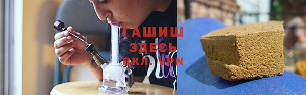 ПСИЛОЦИБИНОВЫЕ ГРИБЫ Дмитриев