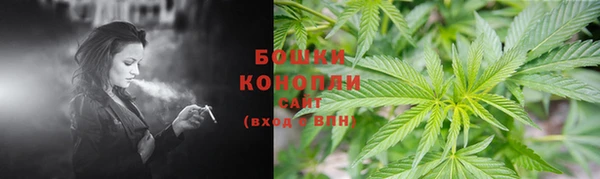 крисы Дмитровск
