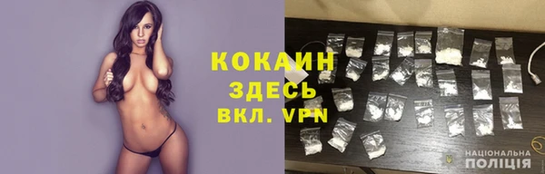 сатива Дмитров