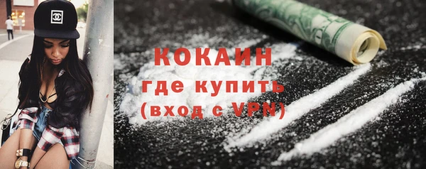 сатива Дмитров