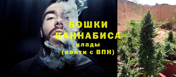 ПСИЛОЦИБИНОВЫЕ ГРИБЫ Дмитриев